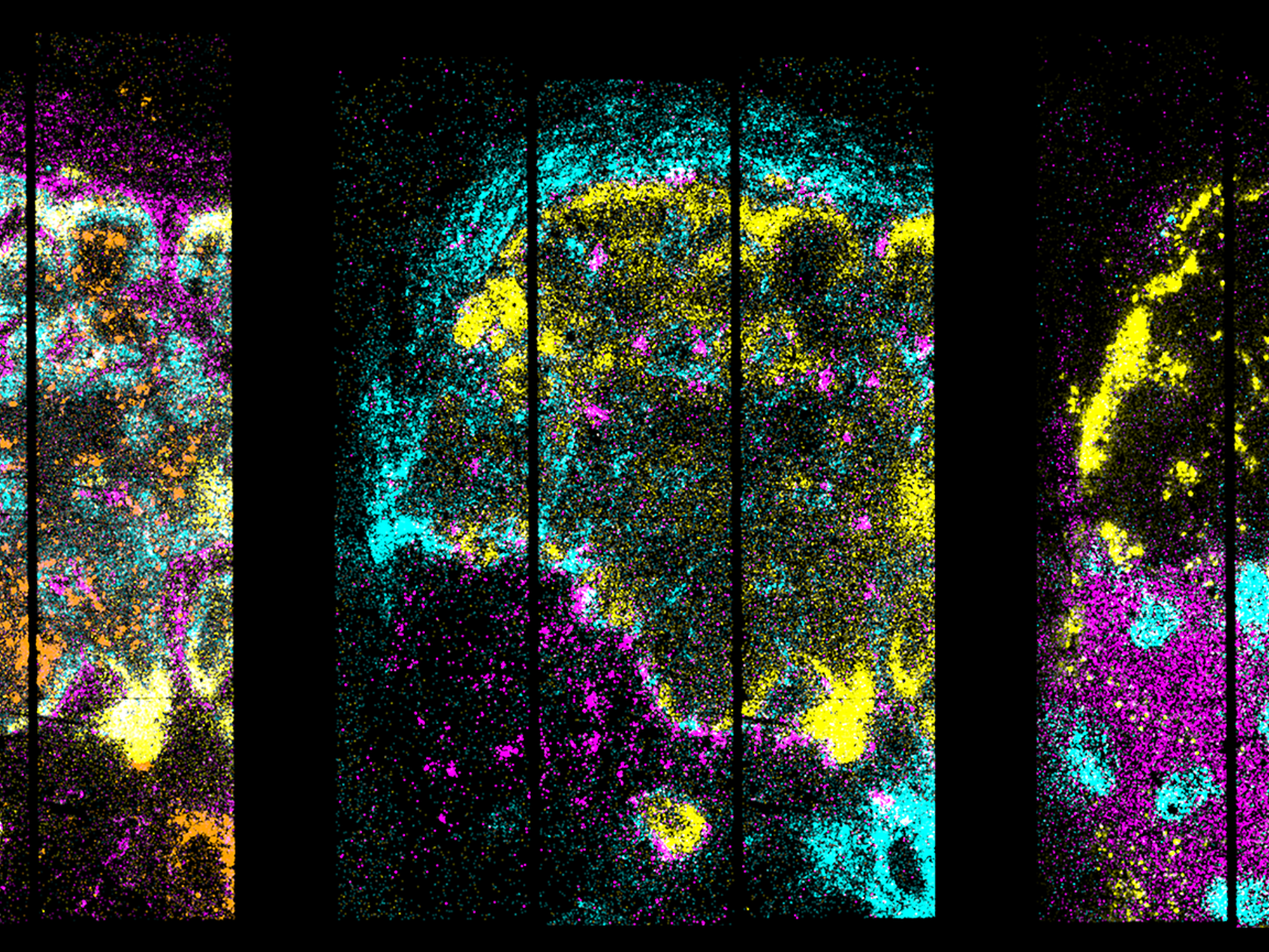 MDC | Beyond ChatGPT: Foundation models for research